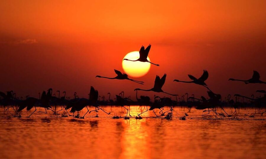 Cappadocia Amazing Sunset Tour To Salt Lake - Value at $354 for up to four people