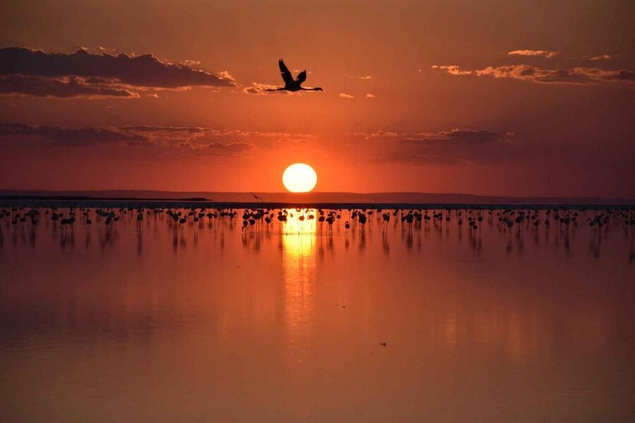Cappadocia Amazing Sunset Tour To Salt Lake - Should you book it?