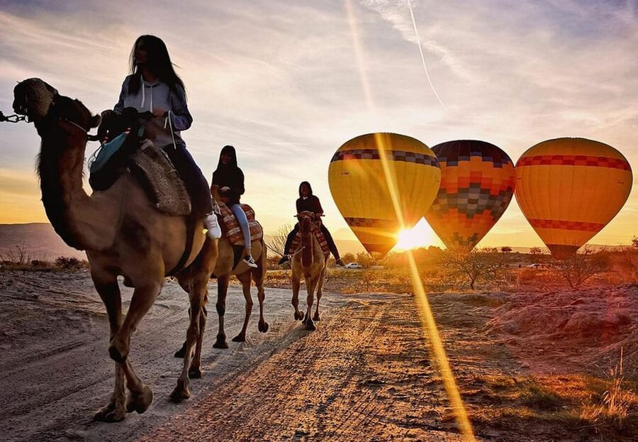 Cappadocia: Camel Safari - Guide communication and group size