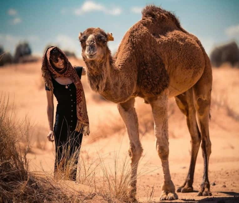 Cappadocia: Camel Safari Tour with Transfer - Why the small group size matters