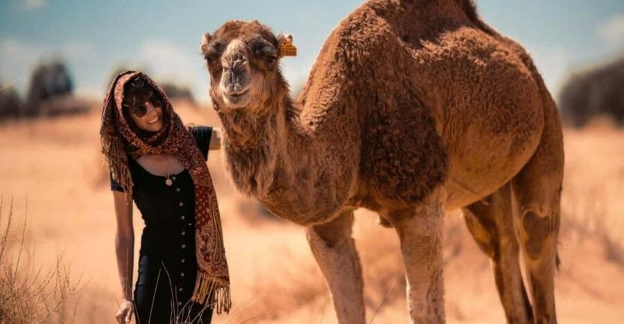 Cappadocia: Camel Safari Tour with Transfer - Who will enjoy this most