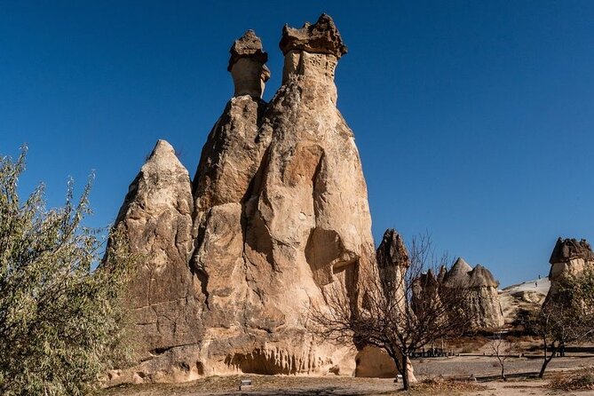 Cappadocia Daily Red Plus Tour - Devrent Valley’s unusual rock shapes