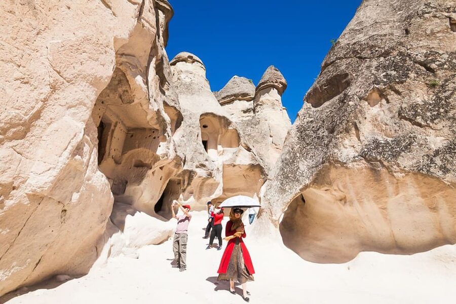 Cappadocia: Full-Day Private Custom Tour - Devrent Valley and its animal-shaped rocks