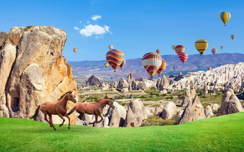 Cappadocia: Göreme Horse Riding, Fairy Chimneys w/Transfer - The drawbacks to keep in mind