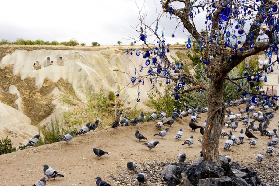 Cappadocia: Green Tour with Entry Fees and Lunch - Selime Monastery rewards careful climbing