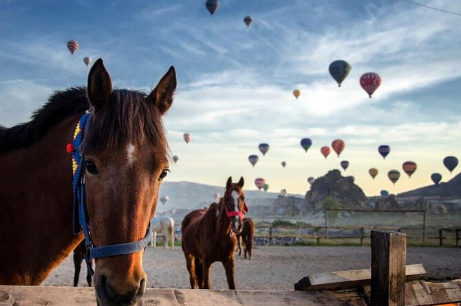 Cappadocia Horse Riding Experience Sunrise Sunset Daytime - Key points before you book