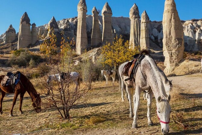 Cappadocia Horse Riding Experience Sunrise Sunset Daytime - Meeting the horses and getting ready