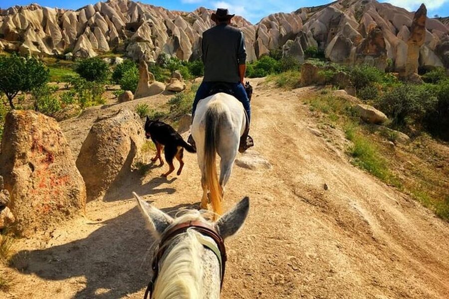 Cappadocia : Horse Riding Sunset Sunrise Daytime - Booking details worth checking