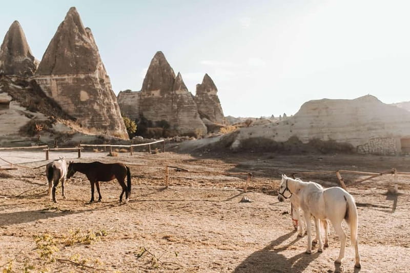 Cappadocia: Horse Riding Tour with Hotel Transfer - Hotel pickup from seven Cappadocia towns