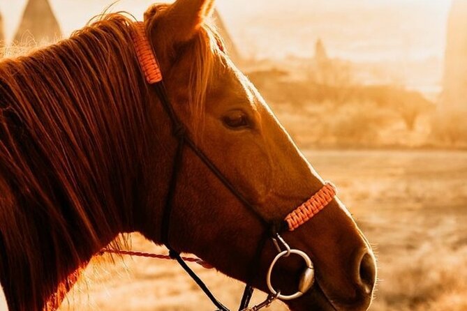 Cappadocia Horseback Riding Tour (Transfer Included) - Before the horses leave the ranch