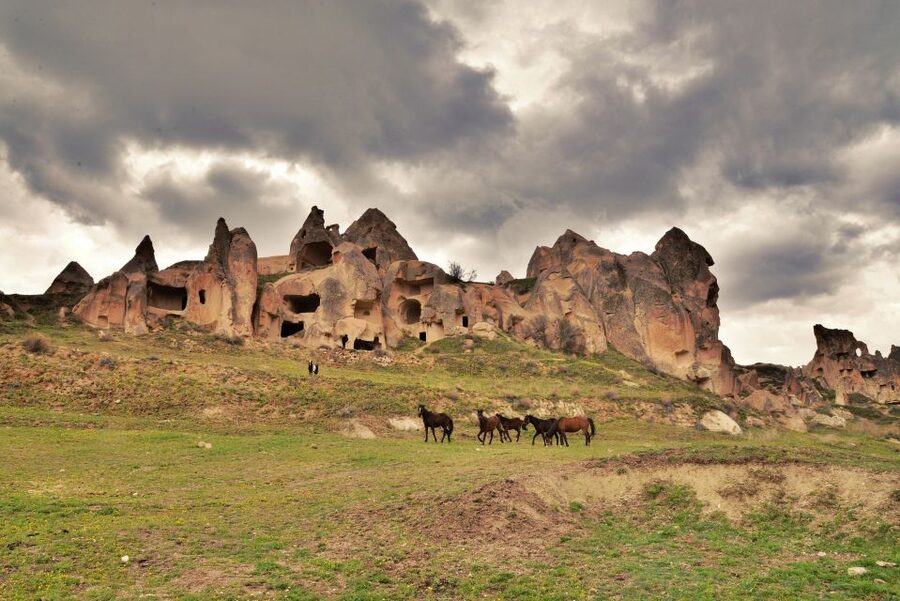 Cappadocia: Private Cappadocia Tour with Lunch - Devrent Valley and Cappadocia’s playful rock shapes