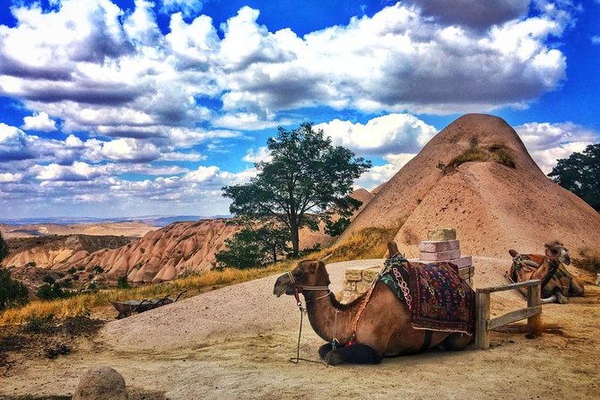 Cappadocia Red Tour (Pro Guide, Tickets, Lunch, Transfer incl) - Uçhisar Castle gives you the big picture