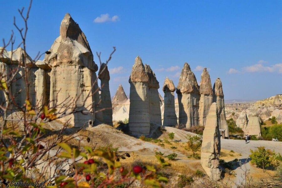 Cappadocia Red Tour with Goreme Open Air Museum and Pasabag - What the $100 price includes