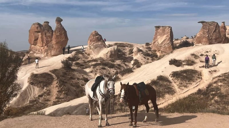 Cappadocia: Small-Group North Tour - Uçhisar viewpoints, shopping, and a practical pause