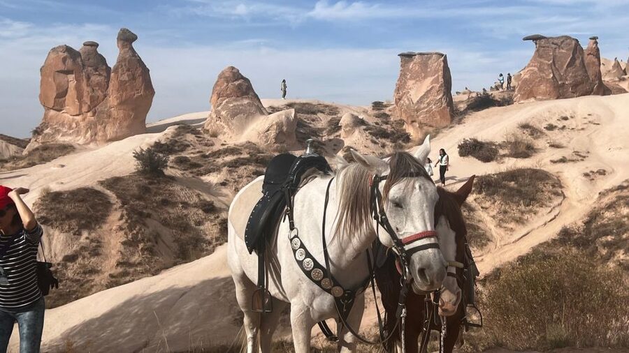 Cappadocia: Small-Group North Tour - Turkish carpets and the limits of a shopping stop