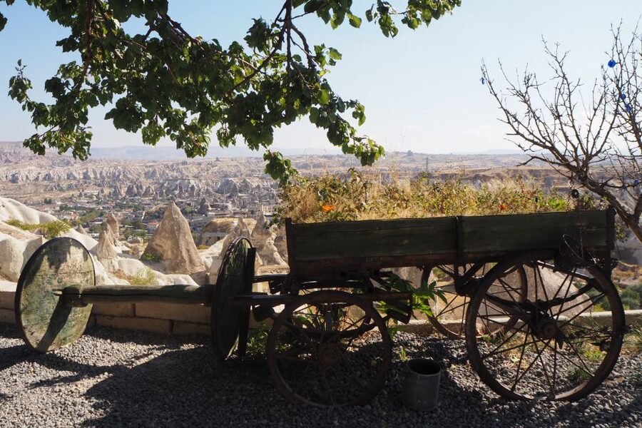 Cappadocia: Small-Group Red Tour, Open Air Museum with Lunch - Devrent Valley and the power of imagination