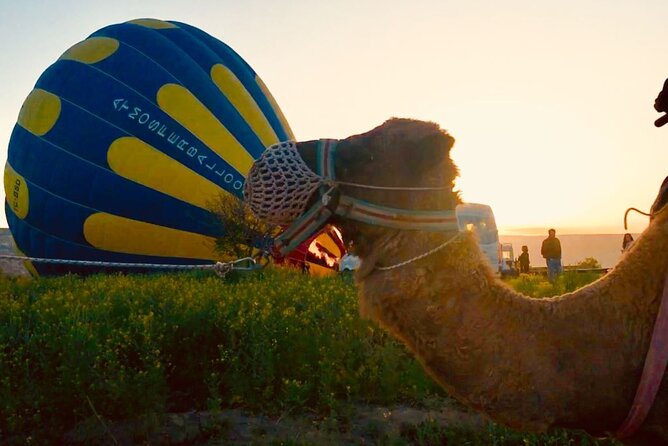 Cappadocia Sunrise Camel Safari - Riding into Red Valley for 45 minutes