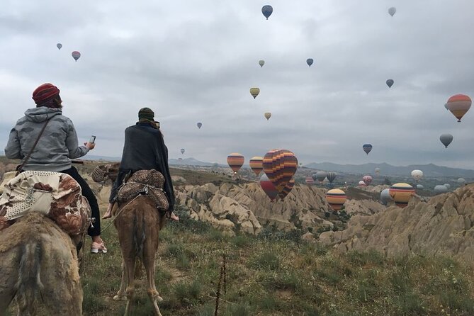 Cappadocia: Sunrise Camel Safari - At the camel farm: a quick start before sunrise