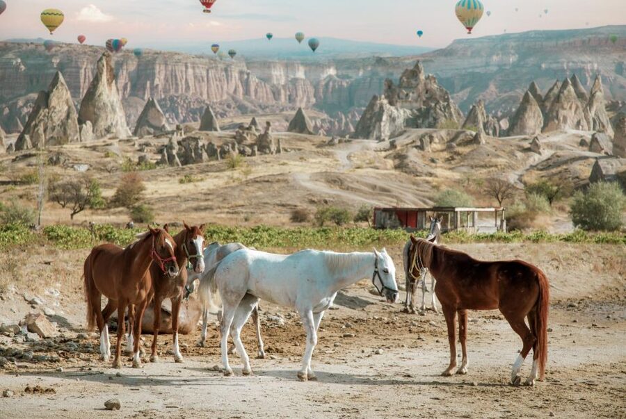 Cappadocia: Sunset Horseback-Riding Tour - The sunset question: check the clock carefully