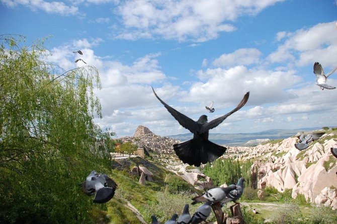 Cappadocia Tour - Pasabag and Cappadocia’s best fairy chimneys