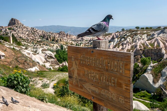 Full Day Private Cappadocia Tour (Guide & Driver) - Pigeon Valley from the viewpoint