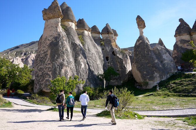Highlights of Cappadocia All in One Tour - Devrent Valley turns rock into an imagination game
