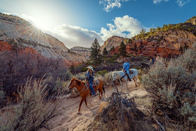 Horse Riding in the Valleys of Cappadocia - What the Horses and Handlers Are Like