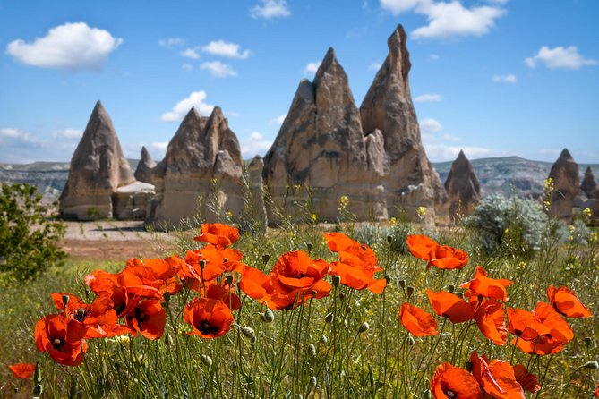 Private Cappadocia Tour w/Chimneys and Goreme Open Air Museum - Pasabagi’s tall fairy chimneys