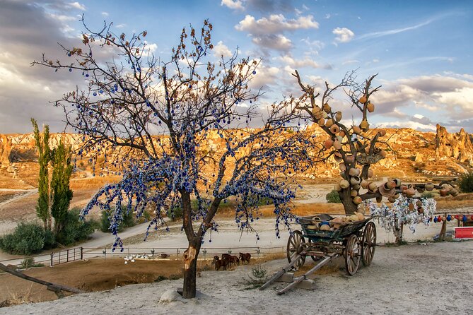 Private Cappadocia Tour with Underground City (Guide & Driver) - Devrent Valley and the art of seeing animals in stone
