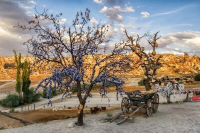 Small-Group Cappadocia Tour: Devrent Valley, Monks Valley and Open Air Museum in Goreme