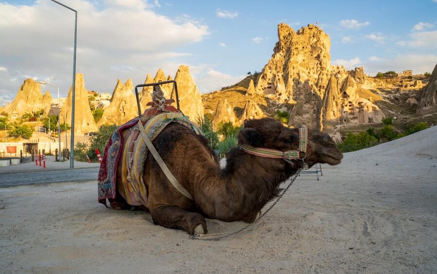 Sunrise and Sunset Camel Ride with Stunning Cappadocia Views - What the guide and included services add