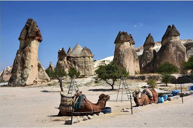 Treasures of Cappadocia Tour + Underground City - Pasabag shows how fairy chimneys take shape